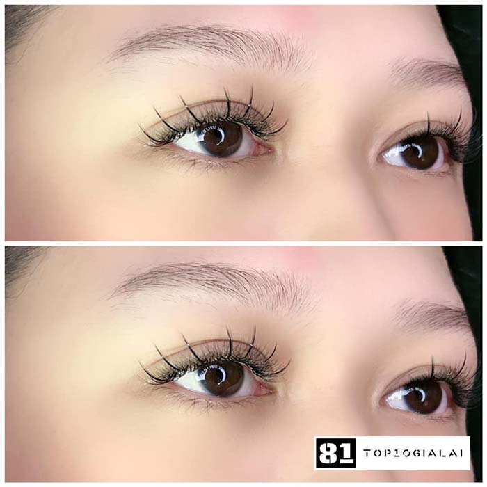 Nối mi Gia Lai Trinh Nữ