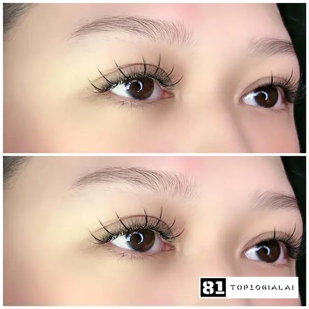 Nối mi Gia Lai Trinh Nữ