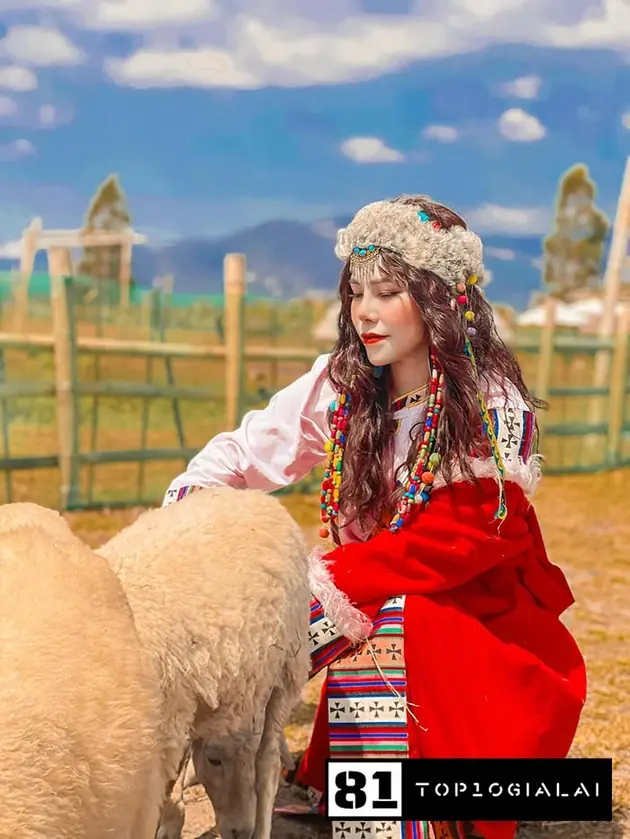 Nông trại cừu Check in Gia Lai