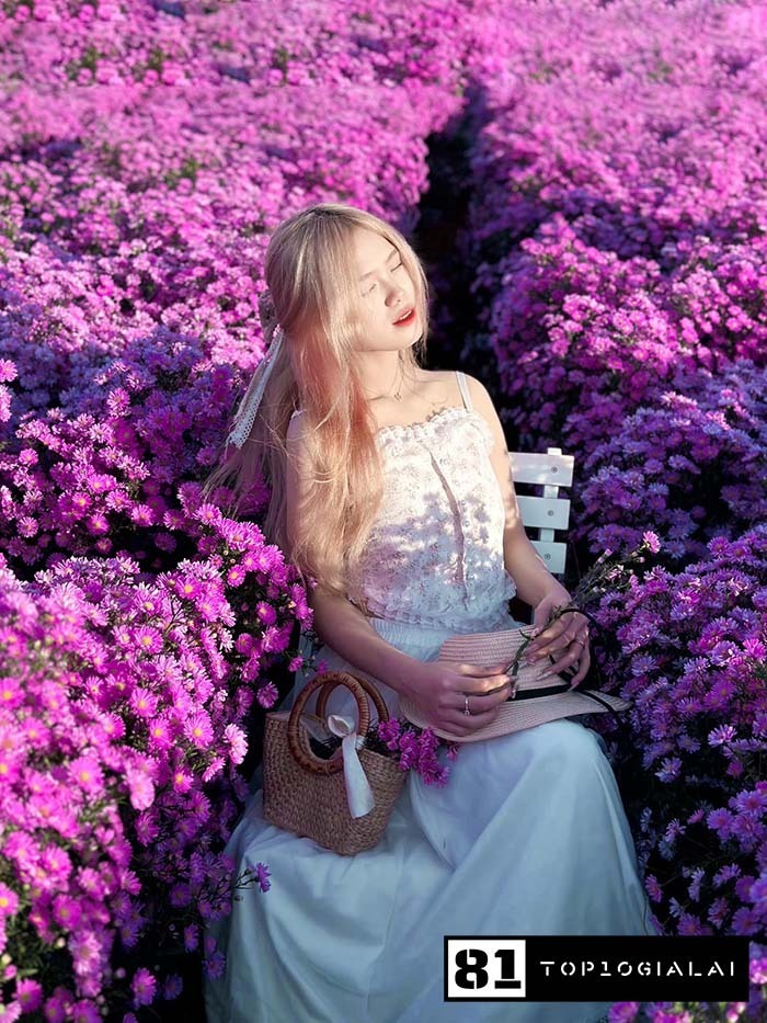 Check in Gia Lai Vườn Nhà Thóc