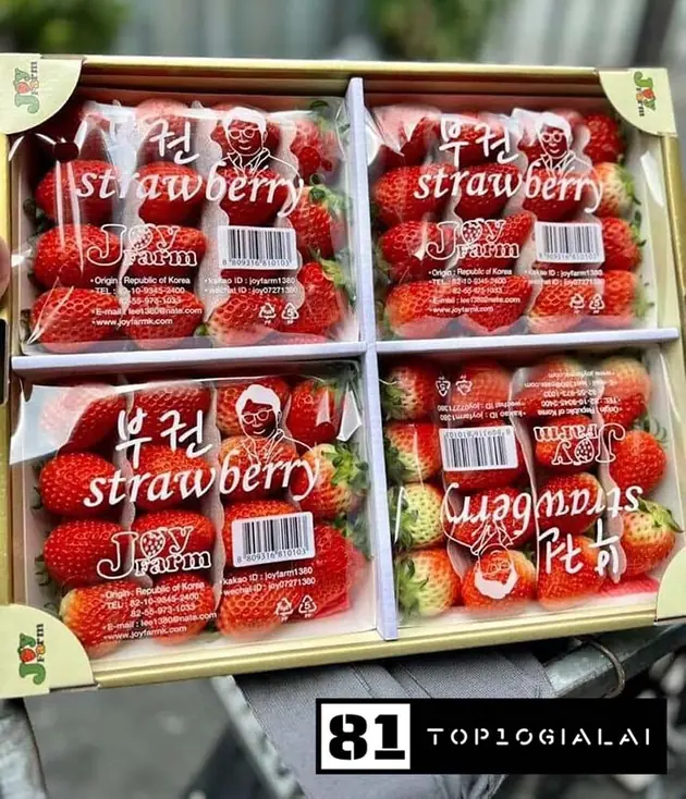 Cửa hàng trái cây Gia Lai