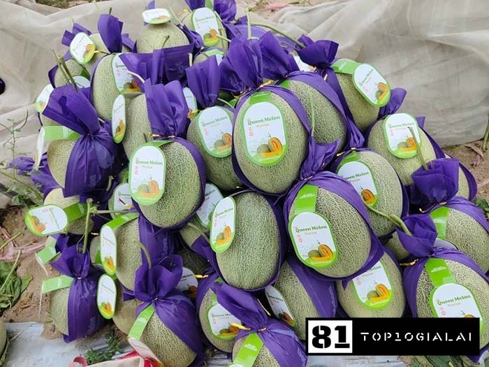 Cửa hàng trái cây gia lai