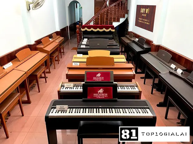 học đàn gia lai duy vũ