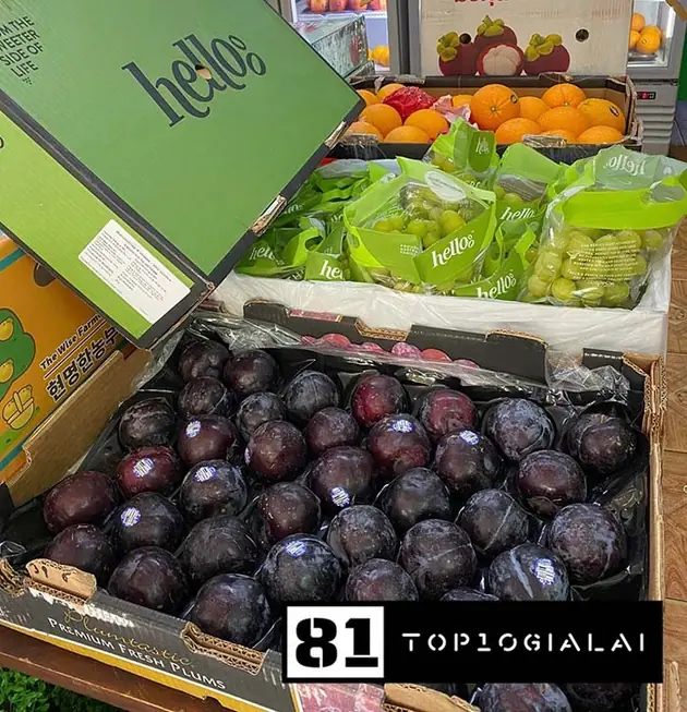 Cửa hàng trái cây Gia Lai