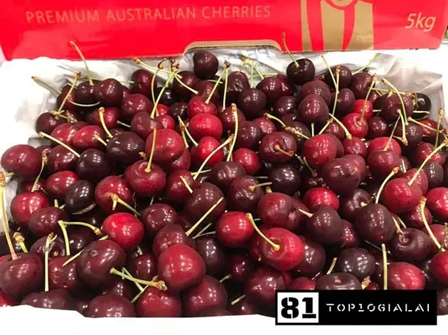 Thực phẩm sạch Vạn Trí Gia Lai