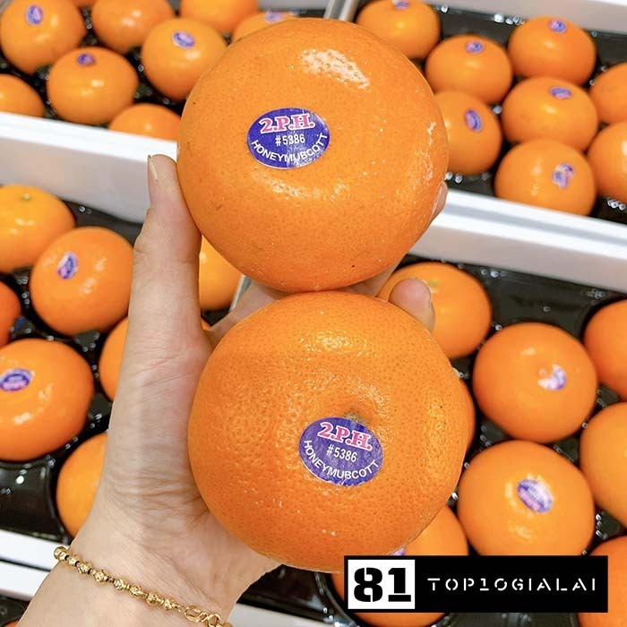 Tiệm hoa quả gia lai