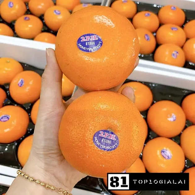 Tiệm hoa quả gia lai