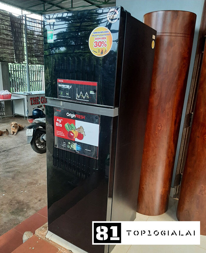 Thế giới đồ cũ Gia Lai