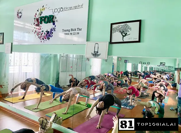 FOR YOGA gia lai