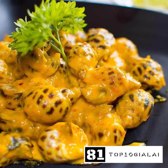 Ốc Chỉ Trang Gia Lai