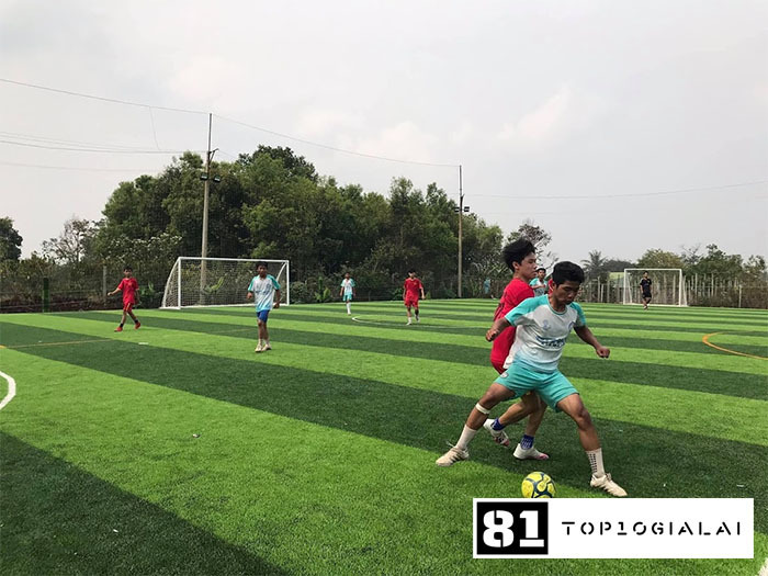 Sân bóng đá mini Hai Hòa Gia Lai